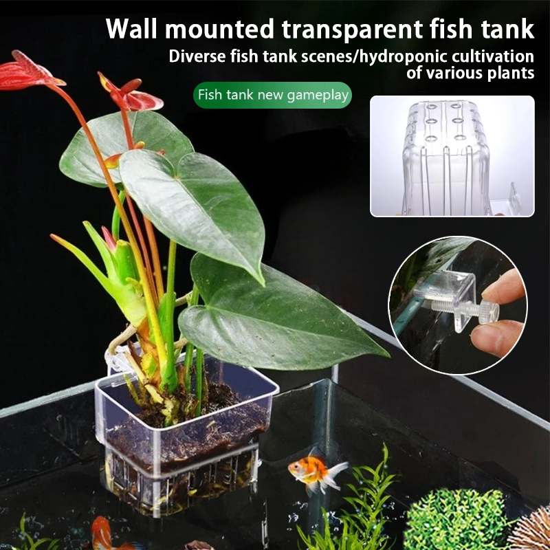 Planted Aquarium Materials - กระถางแขวนติดผนังสำหรับปลูกพืชน้ำในตู้ปลา ตะกร้าปลูกพืชน้ำในตู้ปลา กระถางปลูกพืชน้ำในตู้ปลา