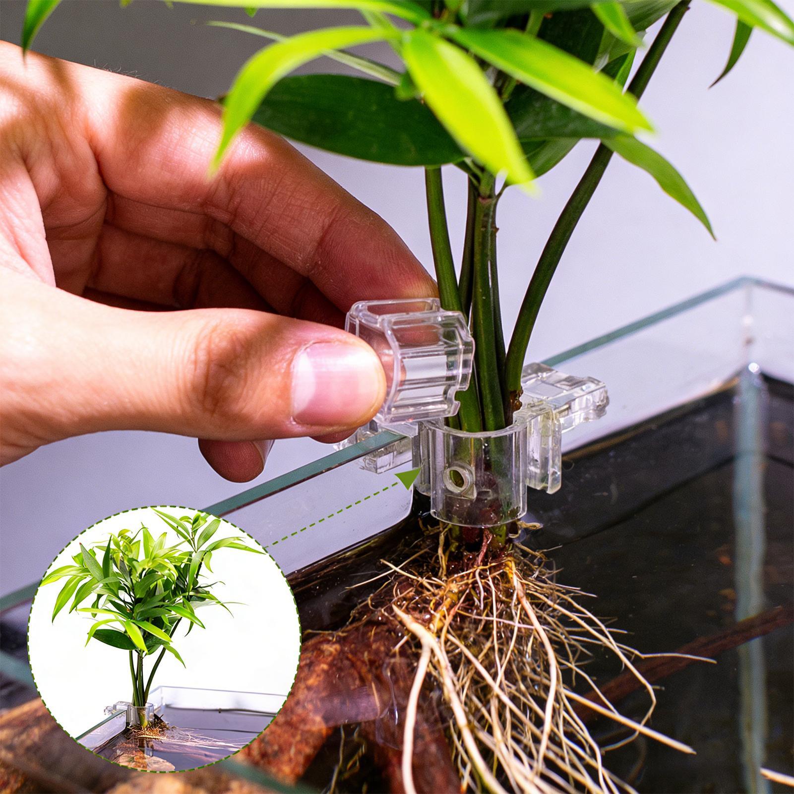 Planted Aquarium Materials - ที่แขวนต้นไม้ในตู้ปลาแบบใส 6 ชิ้น ถ้วยปลูกต้นไม้แบบแขวนสำหรับตู้ปลา สำหรับปลูกพืชในบ้าน