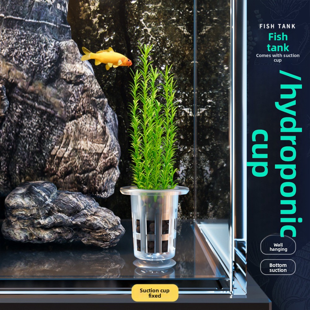 กระถางปลูกพืชแบบไฮโดรโปนิกส์ใส - Planted Aquarium Materials บทวิจารณ์และราคา