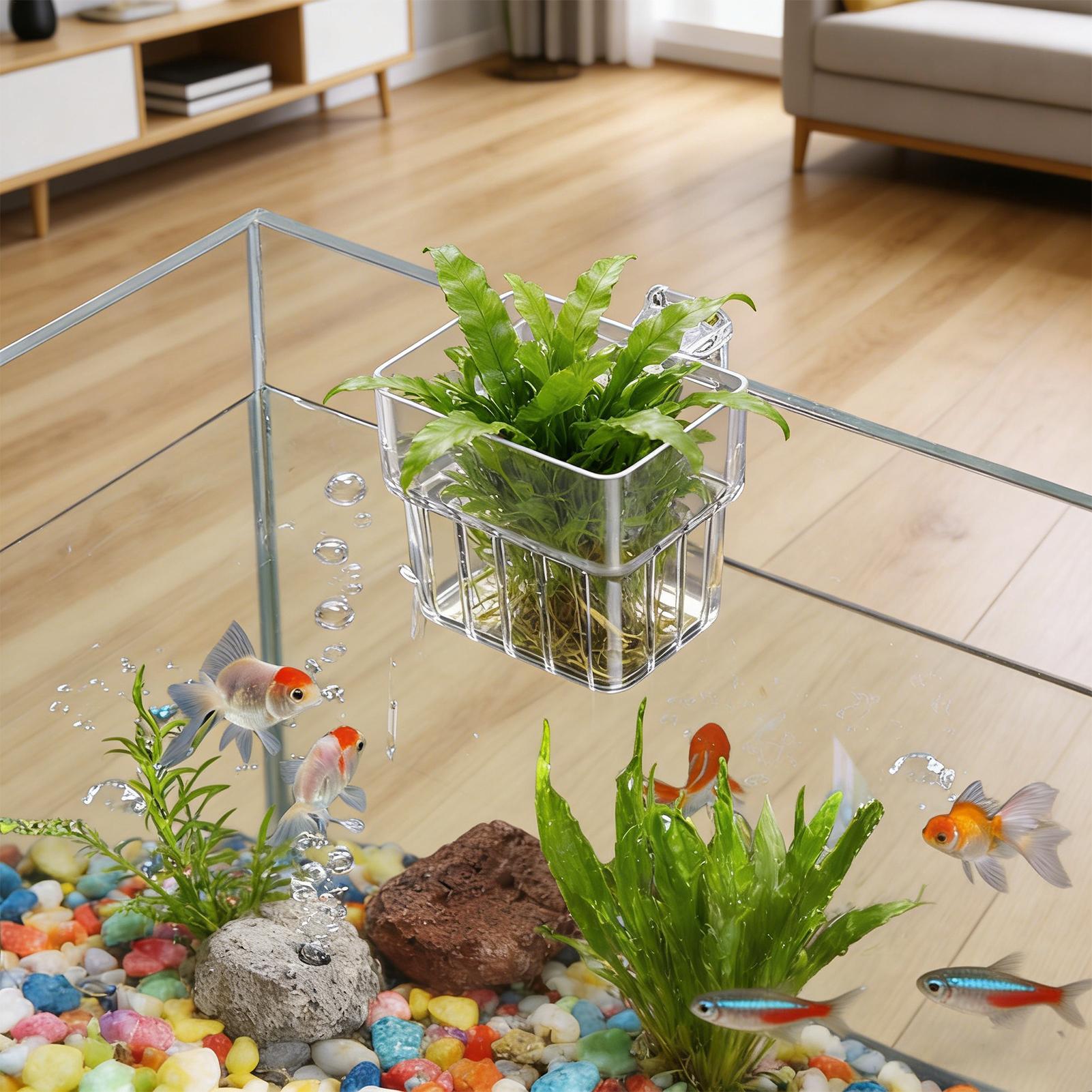 กระถางใสสำหรับแขวนปลูกพืชน้ำใน - Planted Aquarium Kit บทวิจารณ์และราคา