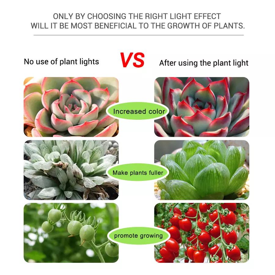 USB PhytoTape ปลูกในร่ม 5V Gro - Planted Aquarium Hours บทวิจารณ์และราคา