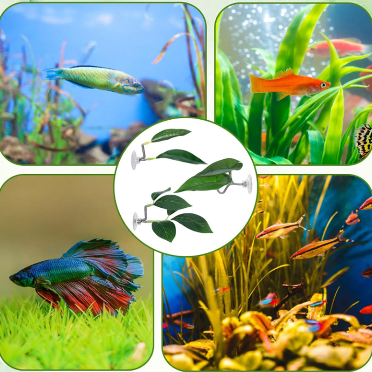 เปลปลาเบตต้า 1 ชิ้น ของตกแต่งต - Planted Aquarium Materials บทวิจารณ์และราคา