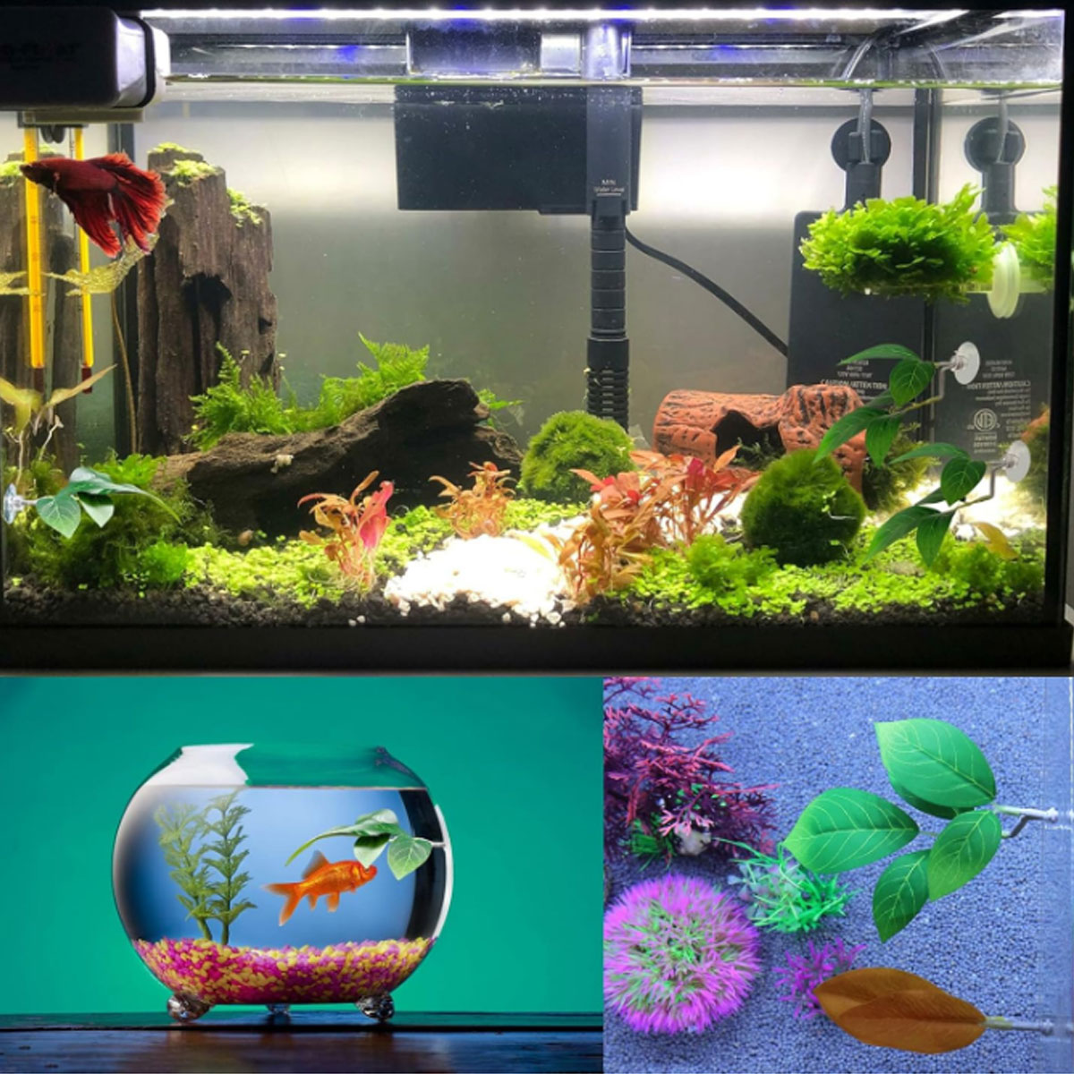 เปลปลาเบตต้า 1 ชิ้น ของตกแต่งต - Planted Aquarium Materials บทวิจารณ์และราคา