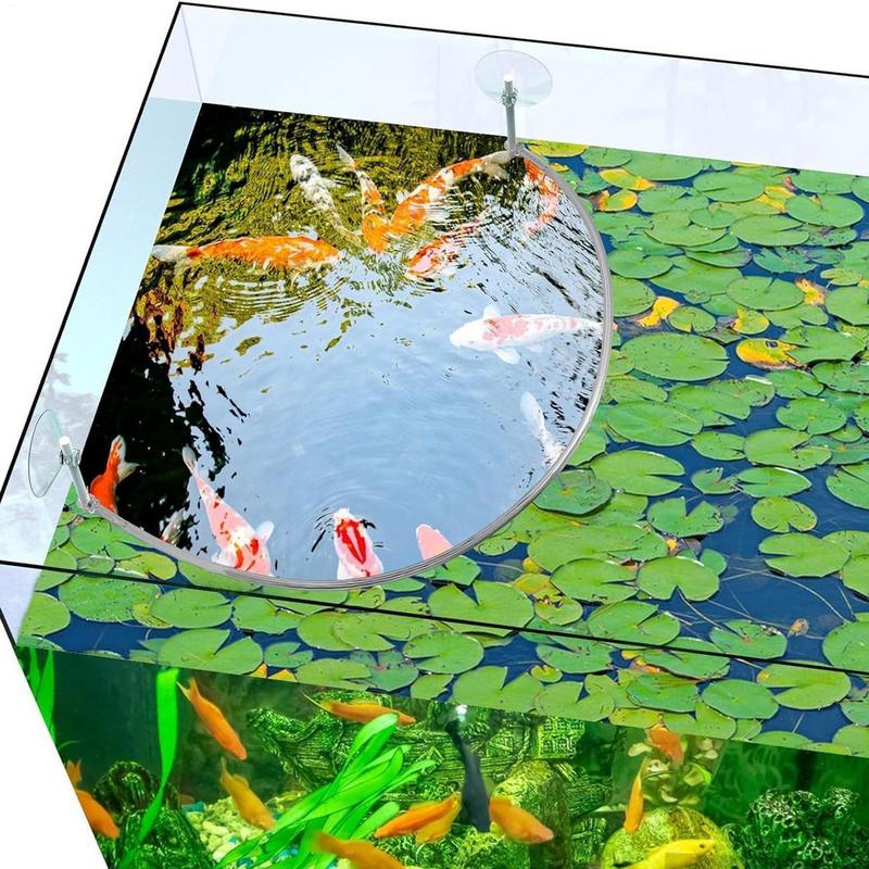 พืชลอย Corral Fish Feeding แหว - Planted Aquarium Materials บทวิจารณ์และราคา