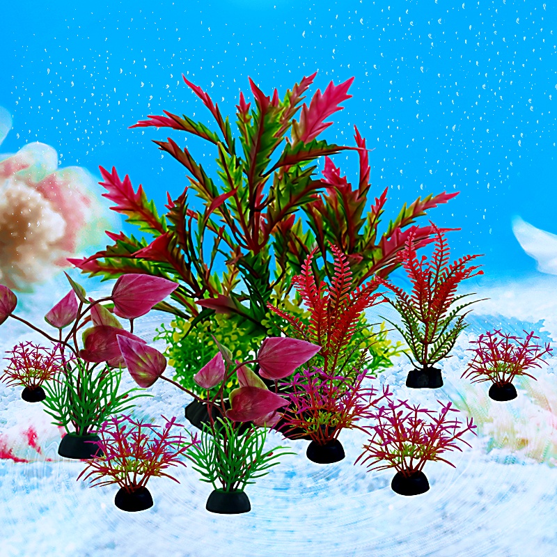 10PC ถังปลา DIY ประดิษฐ์ Aquar - Planted Aquarium Materials บทวิจารณ์และราคา