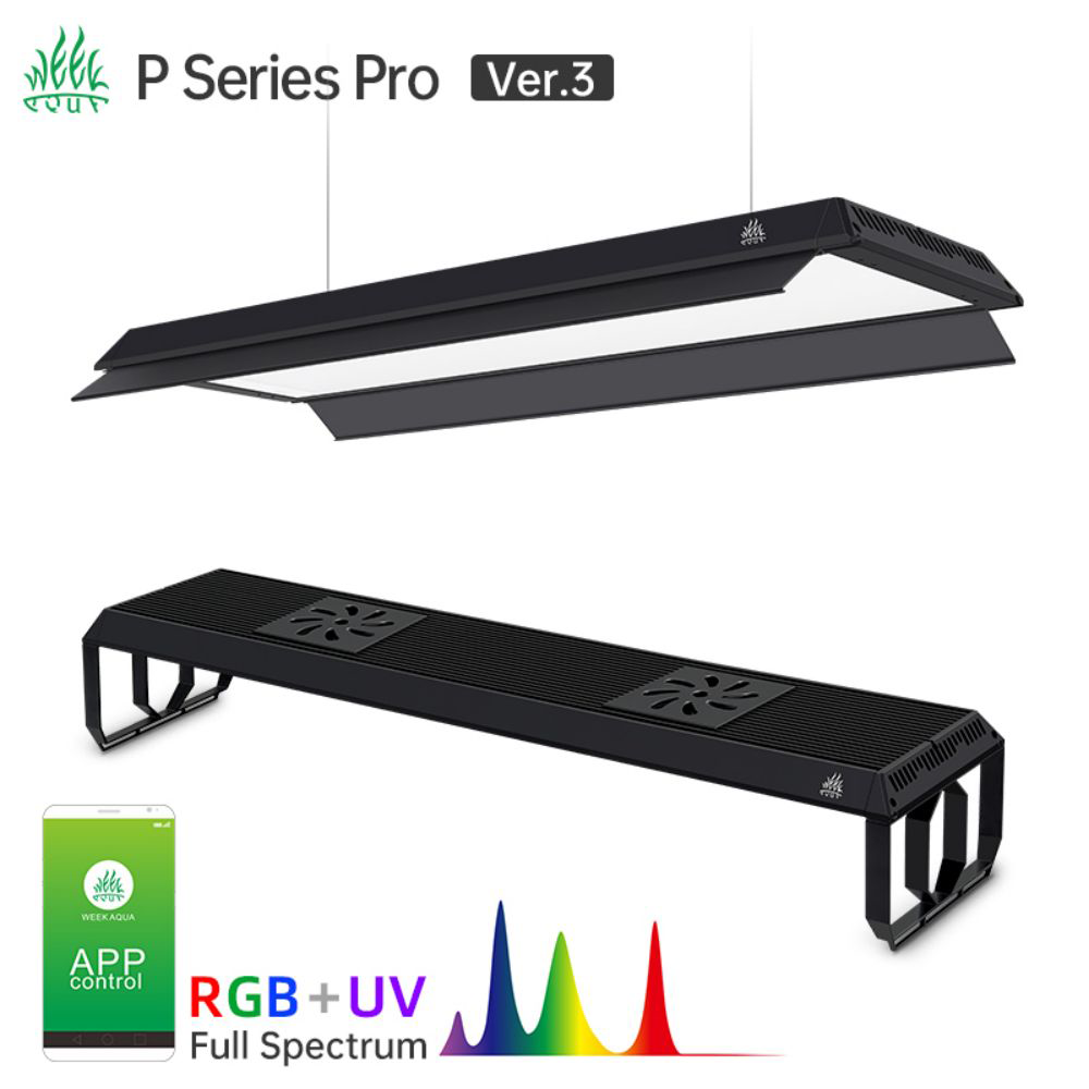 P 900 PRO และชุดเงาโปรเวอร์ชัน - Aquarium Plant On Top บทวิจารณ์และราคา