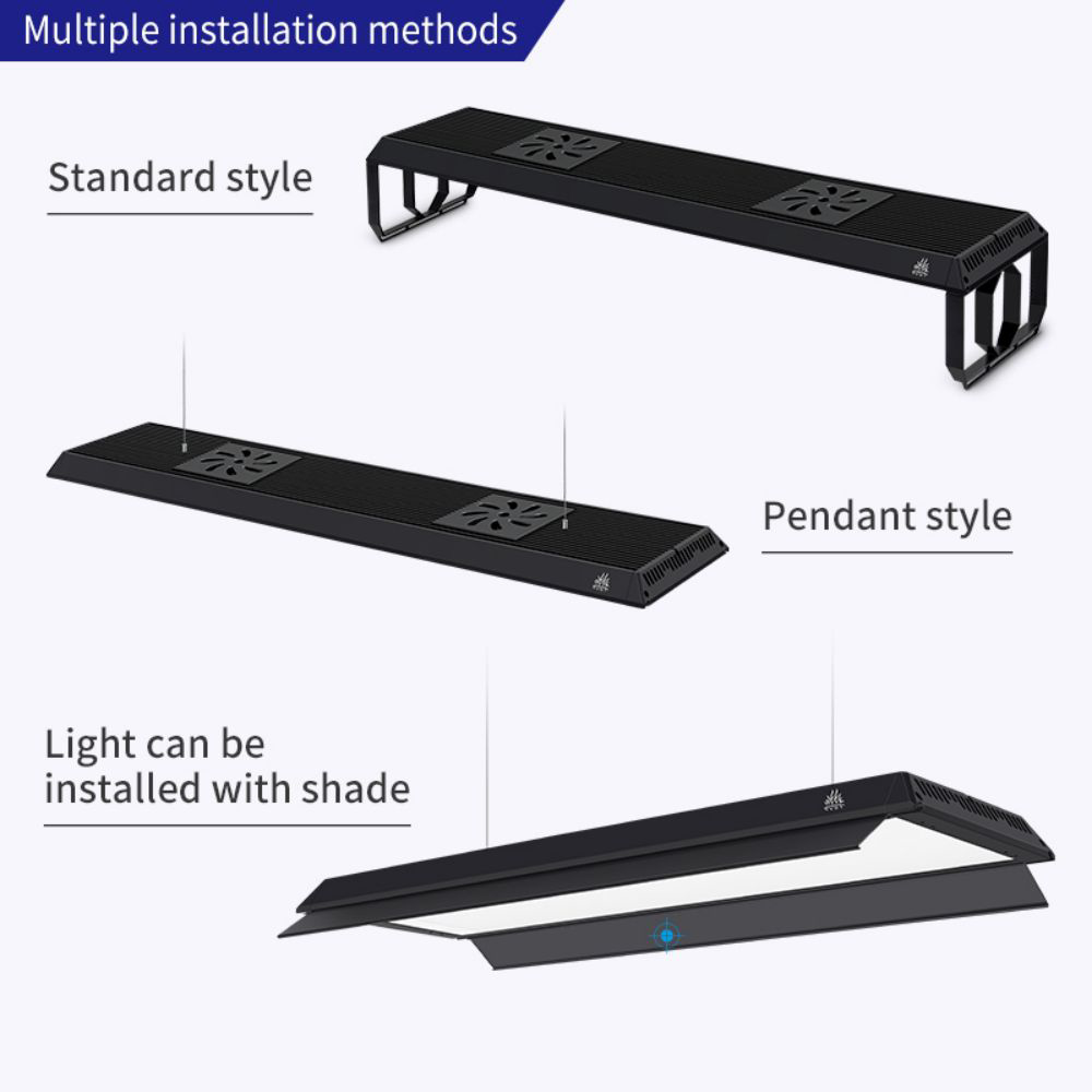P 900 PRO และชุดเงาโปรเวอร์ชัน - Aquarium Plant On Top บทวิจารณ์และราคา