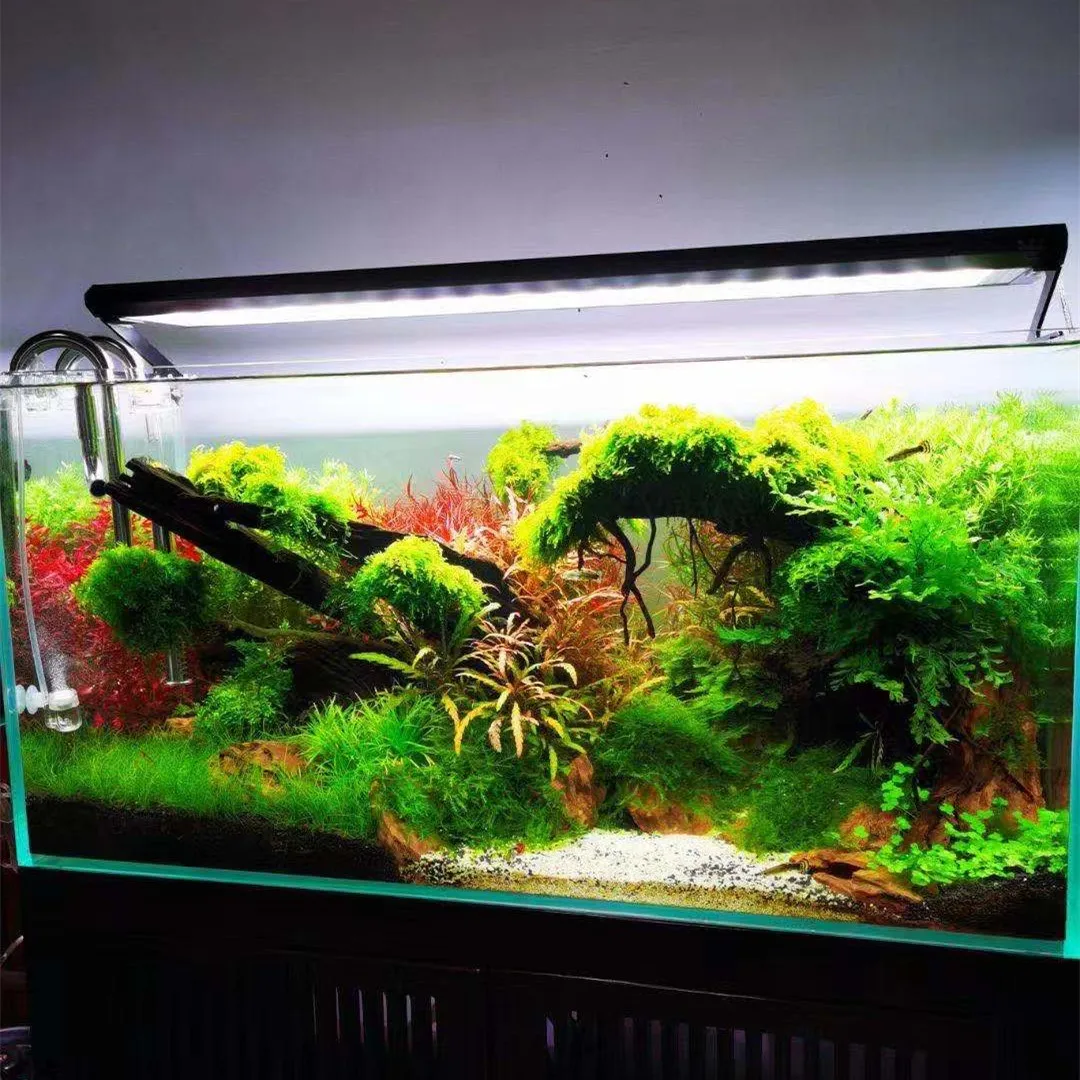 ไฟปลูกต้นไม้แบบสเปกตรัมเต็มรูป - Aquarium Plant On Top บทวิจารณ์และราคา