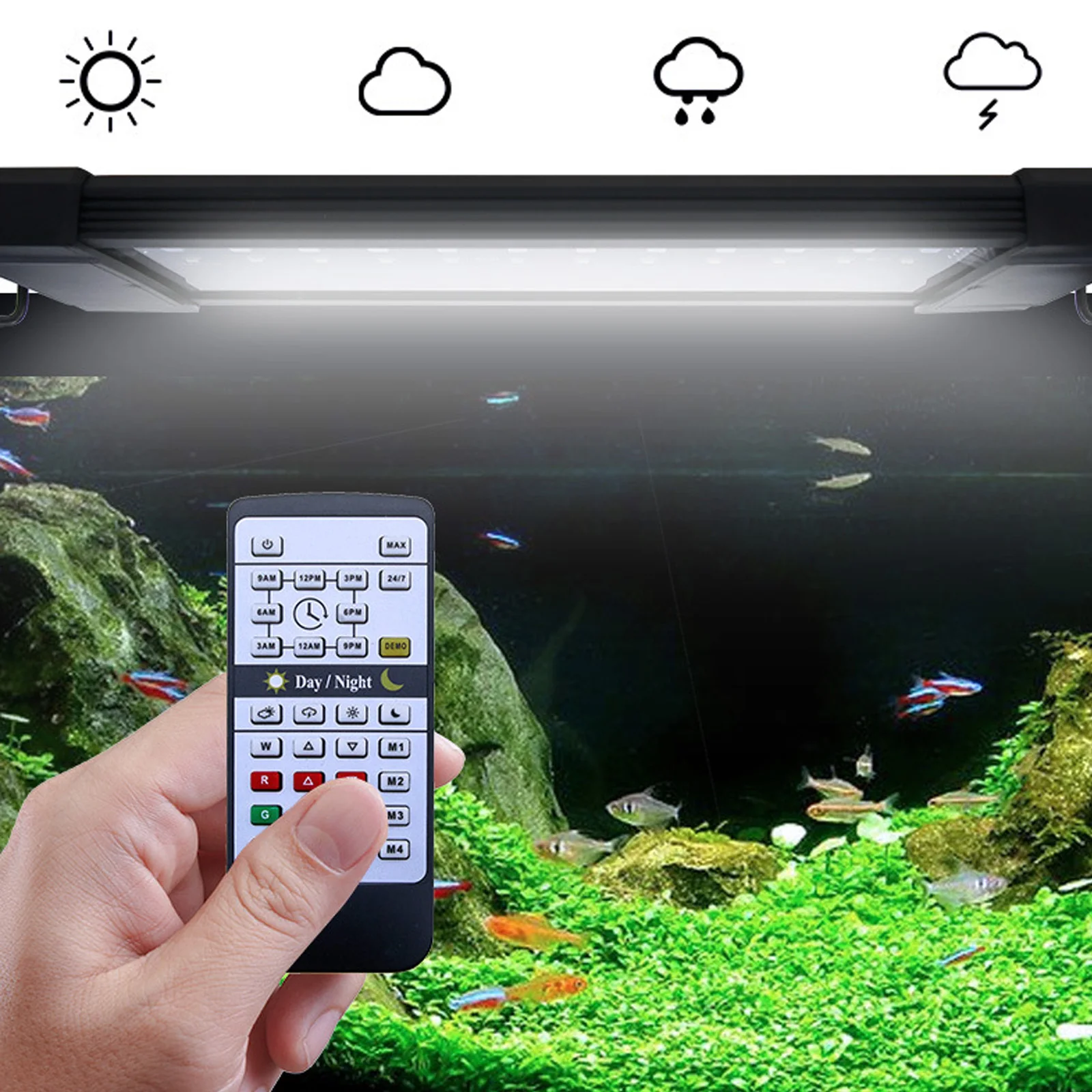ไฟเลี้ยงปลา Liweida 24 ชั่วโมง - Planted Aquarium Hours บทวิจารณ์และราคา