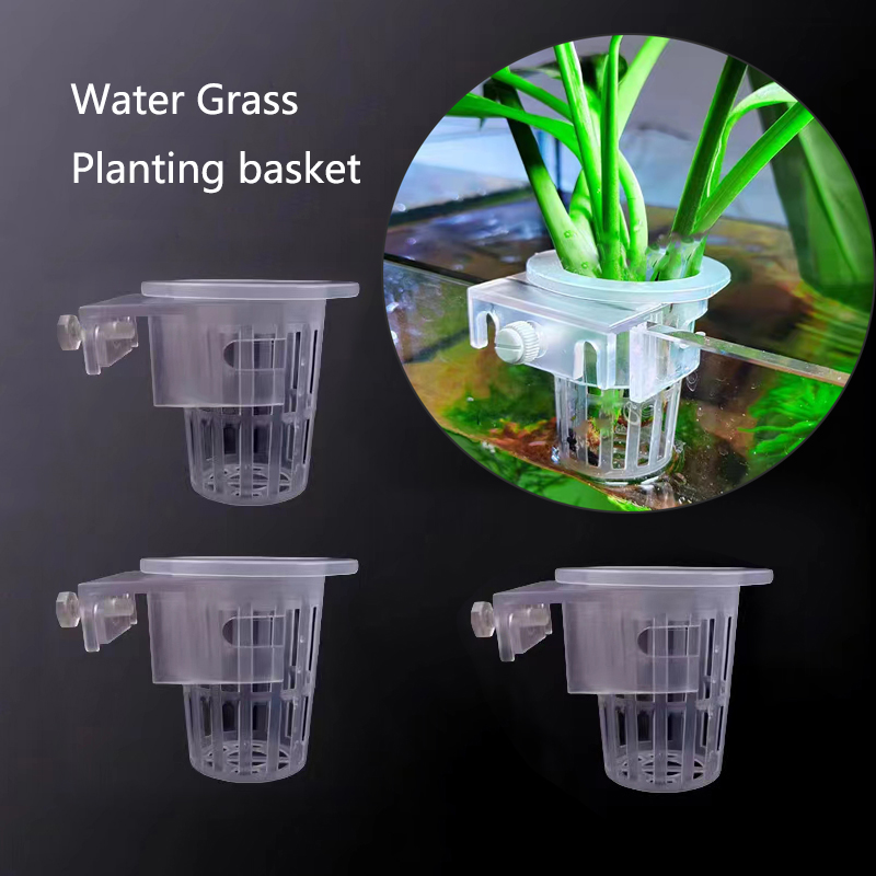 ตะกร้าปลูกตู้ปลาแบบไฮโดรโปนิกส - Planted Aquarium Materials บทวิจารณ์และราคา