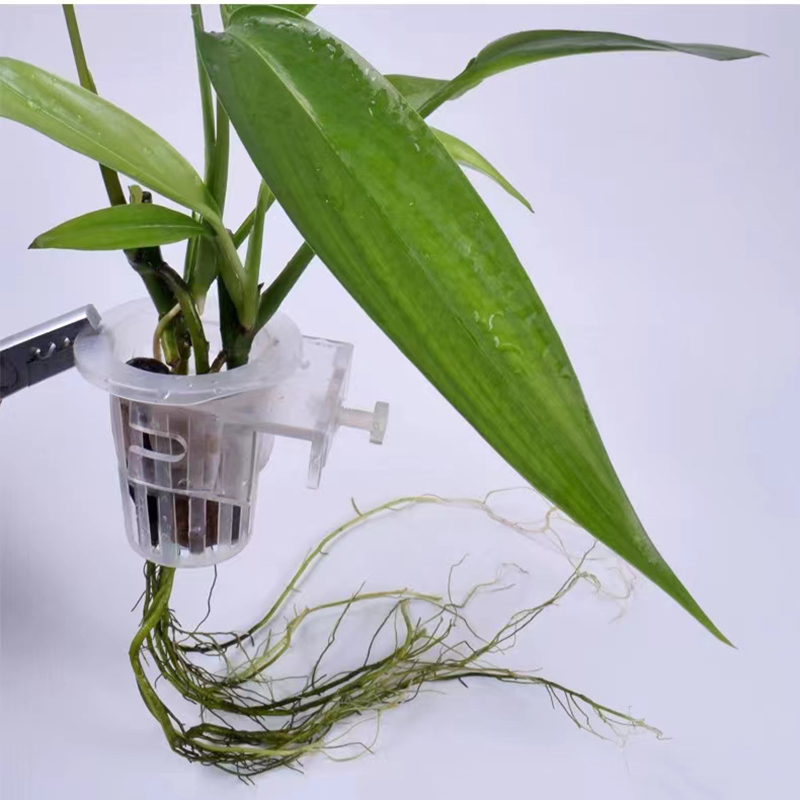 ตะกร้าปลูกตู้ปลาแบบไฮโดรโปนิกส - Planted Aquarium Materials บทวิจารณ์และราคา